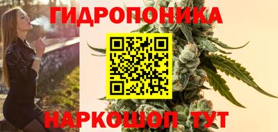 прущие грибы Аргун