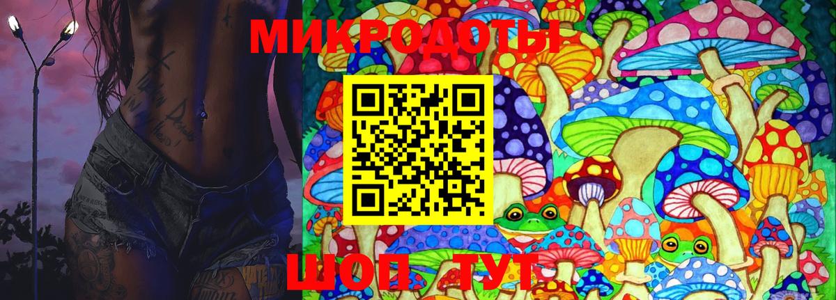 Псилоцибиновые грибы Psilocybine cubensis Волжск