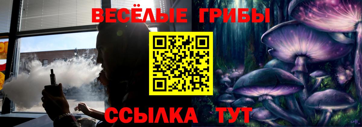 Псилоцибиновые грибы Psilocybine cubensis  Вход с VPN  Волжск 